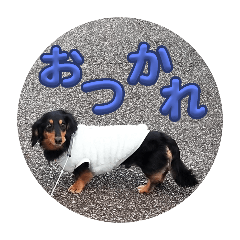 tomomi_20250304233215