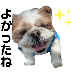 ShellyCo_20250304233231