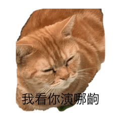 叮叮圖
