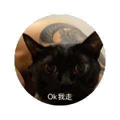 Zoe6771