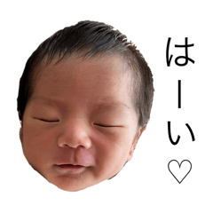 hikaru_20250304215648