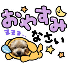 MOE_20250304234612