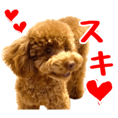 Chaironoohana Kota's stamp
