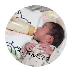 ibuki_20250305123555