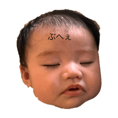 mako6234_20250305122953