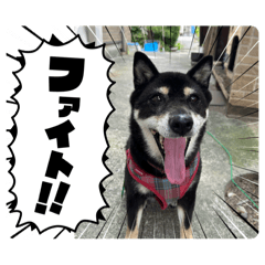 tomo_20250305141424