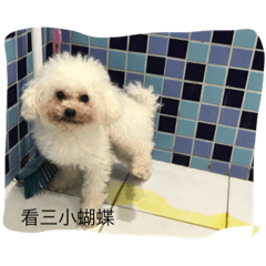 C W Taiwan