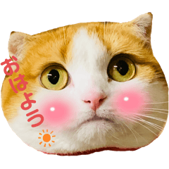 mako_20250304225622
