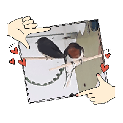 kazue_20250305110256