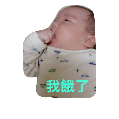 Meat dumplings baby