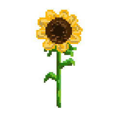 Flower shop 1