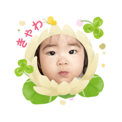 Suzu_20250305143447