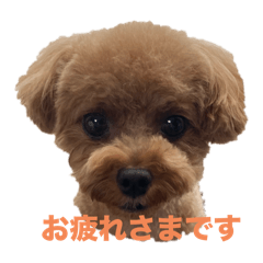 Hana_20250305161903