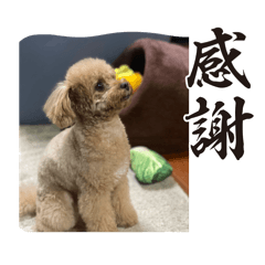 Hana_20250305163256