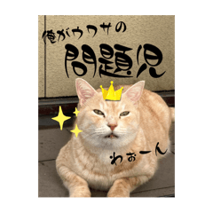 Maki_20250305145000