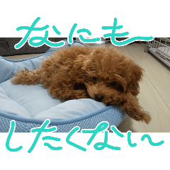 sk_20250305191300