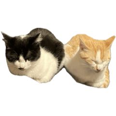 oinari&norishio