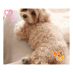 yui_20250305171150