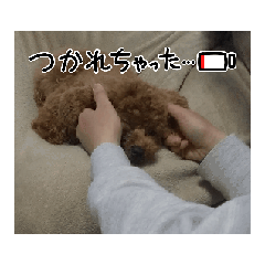 sk_20250305190403