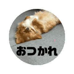 nao_20250305191303