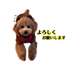 marutagorou2