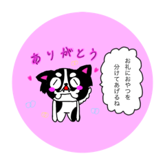 Shiho_20250305144116