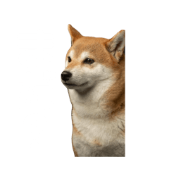kanoto_20250305225042