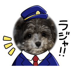 pupu_20250305225249