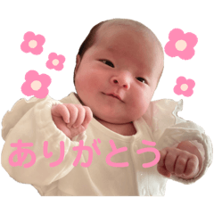 ys_20250305213824