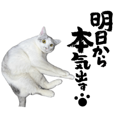 masa_20250306003449