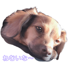 Shun_20250306003726