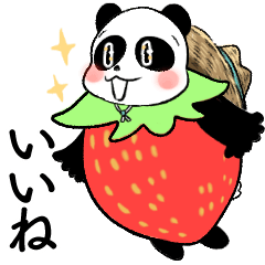 straw hat panda sticker spring  version