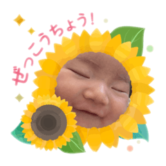 yue_20250305200534