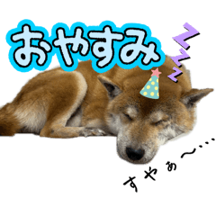 KAZUMI_20250305203239
