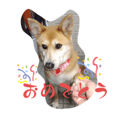 takeshi_20250306091516