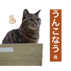 Nomuchi_20250306102025