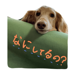 MAO_20250306085951