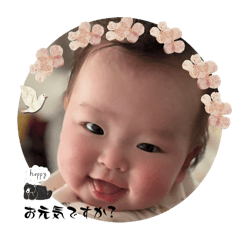 chiitan_20250306084948