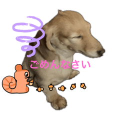 ERIKO_20250306090256