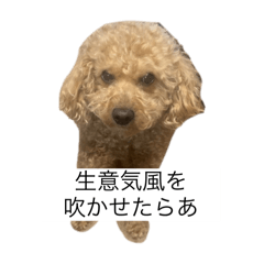 NATSUMI_20250305155604