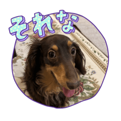 charlie_20250305235245