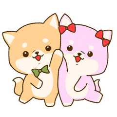 SDAnimals Shiba inu couple