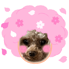 betty_20250305220012