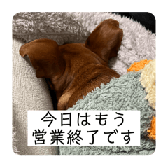 Putti_20250305215821