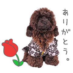 StampNo:4889