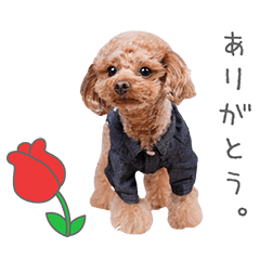 StampNo:4899