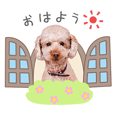 StampNo:4896