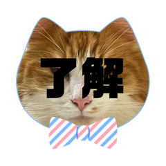 masa_20250305192805