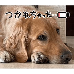 aya_20250305200758
