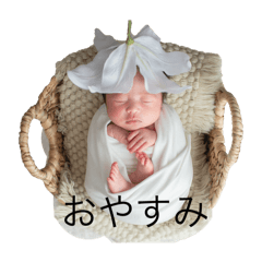 misato_20250305204624